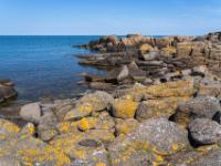 Wilde Blockküste aus flechtenbedecktem Granit - Hammerknuden